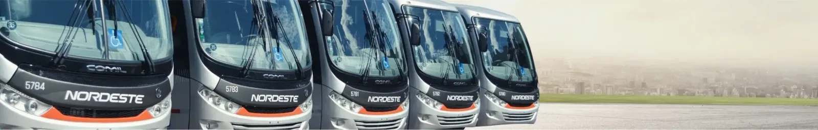 Frota de ônibus da Expresso Nordeste alinhada para fretamento